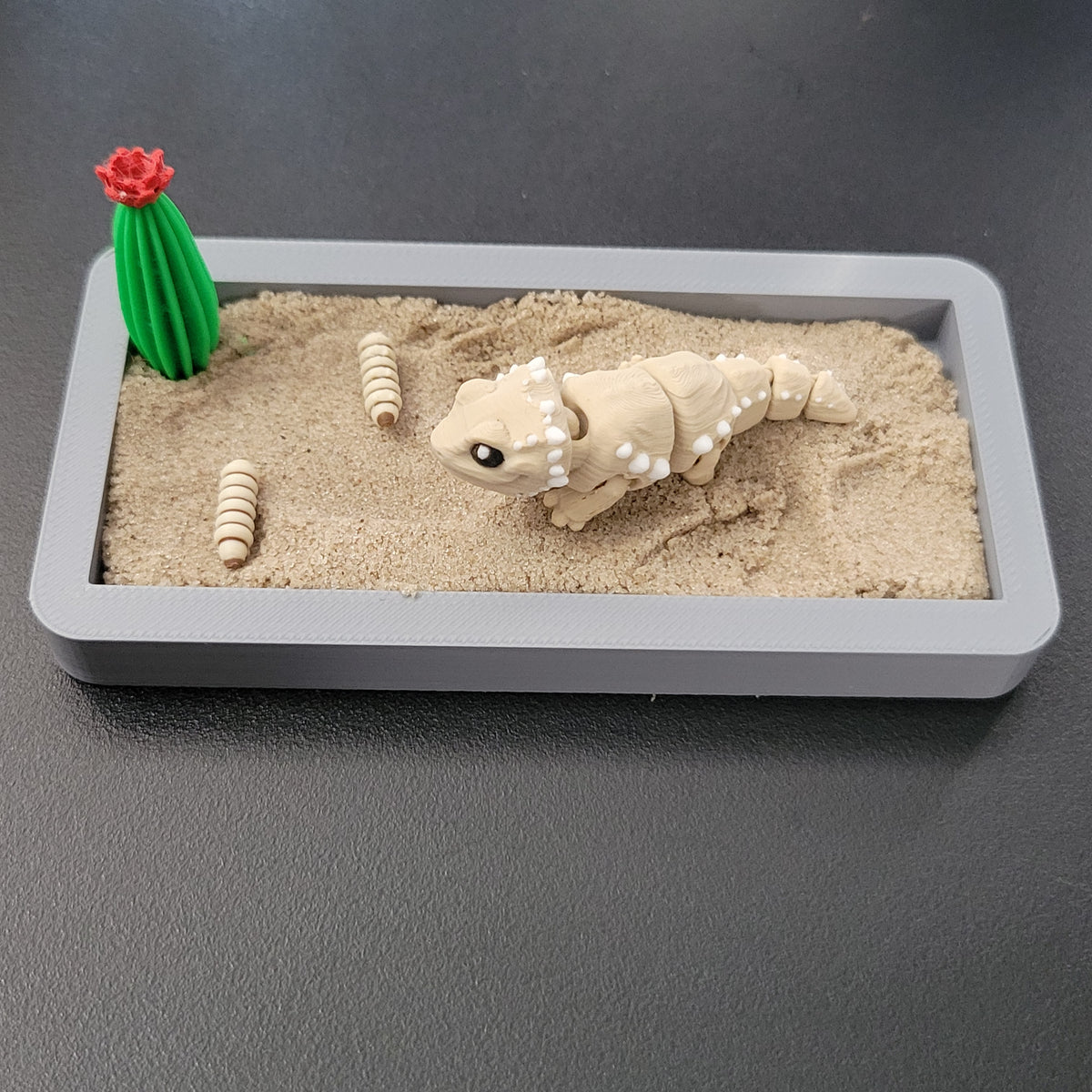 Bearded Dragon Mini Desert Scene