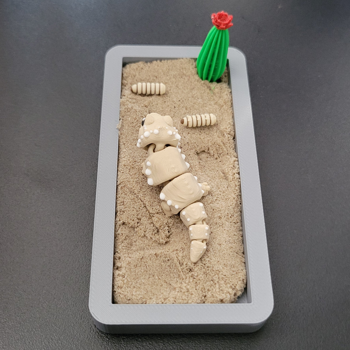 Bearded Dragon Mini Desert Scene